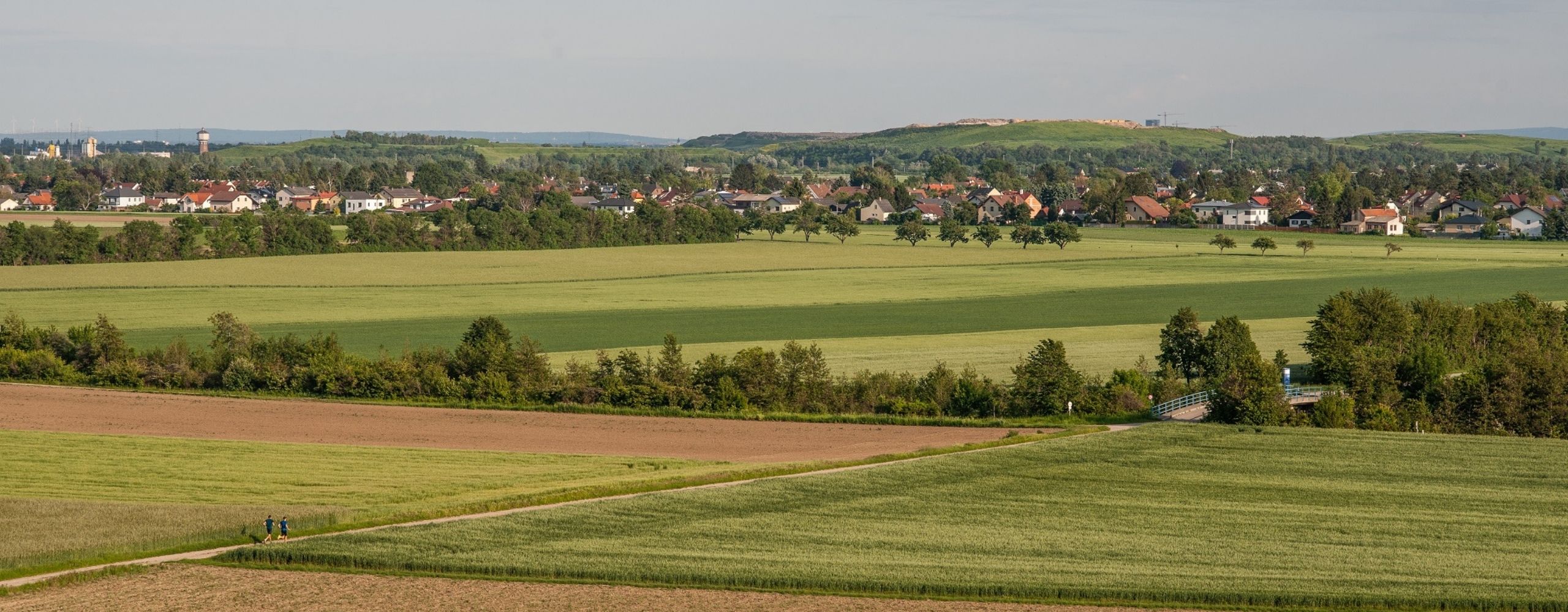 Felder im Regionalpark DreiAnger, &copy; Stadt Wien/Gerd Götzenbrucker