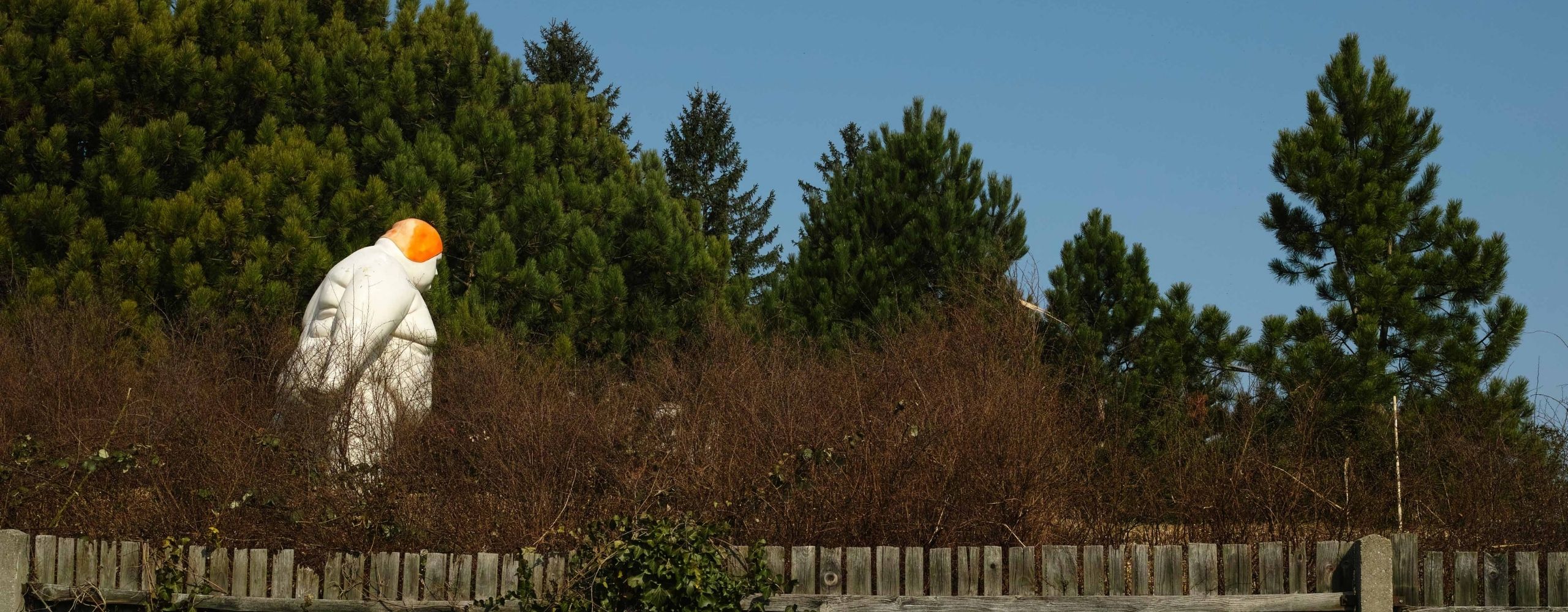 Blick aus dem Dornbacher Friedhof, &copy; Sven Fargo