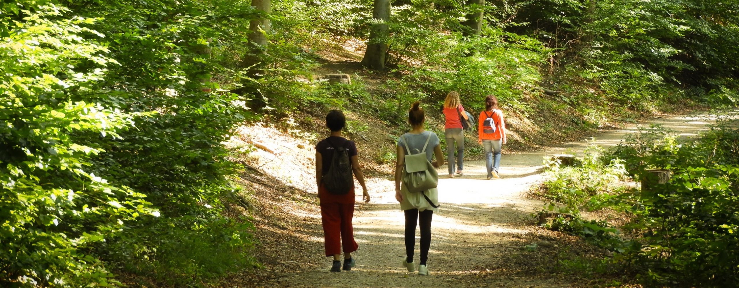 Wandererinnen am Stadtwanderweg (&copy; MA49/Fürthner)