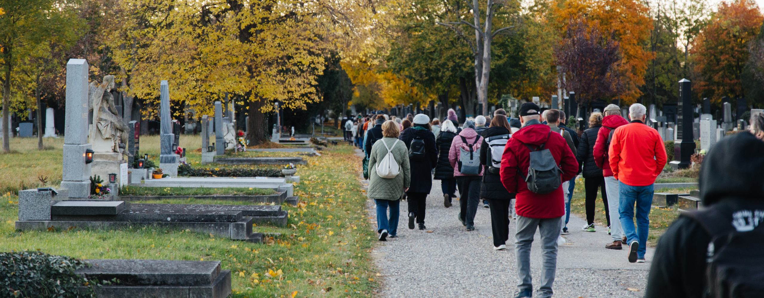 Geh-Café im Zentralfriedhof, Menschen spazieren an Gräbern vorbei